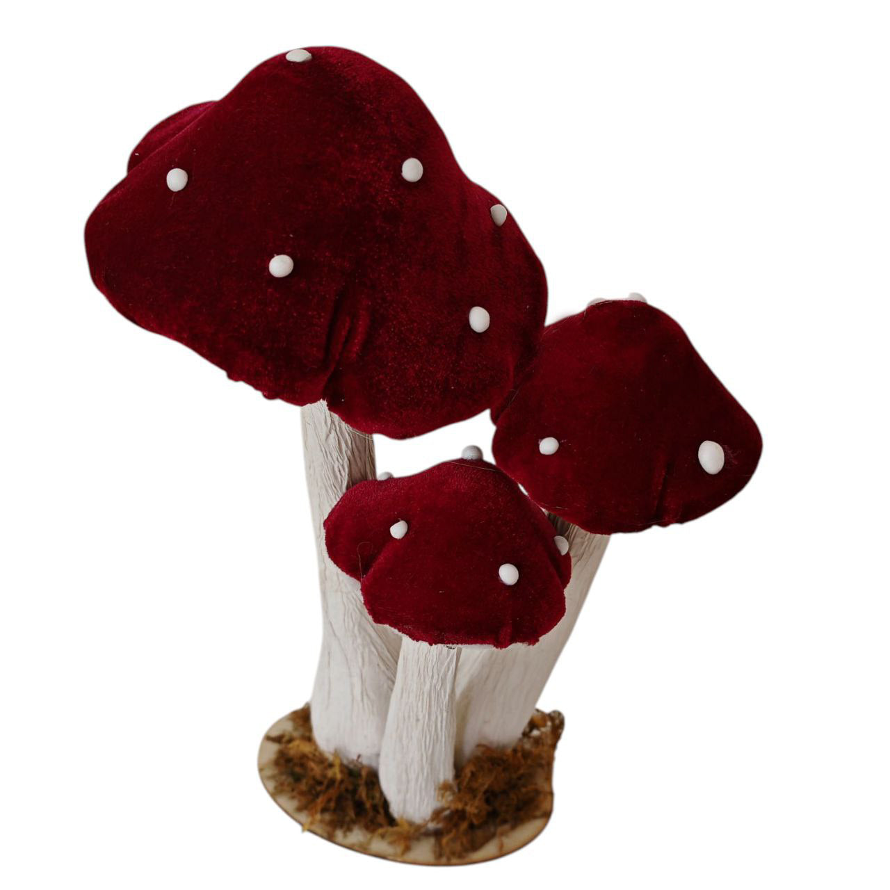 Funghi in velluto bordeaux