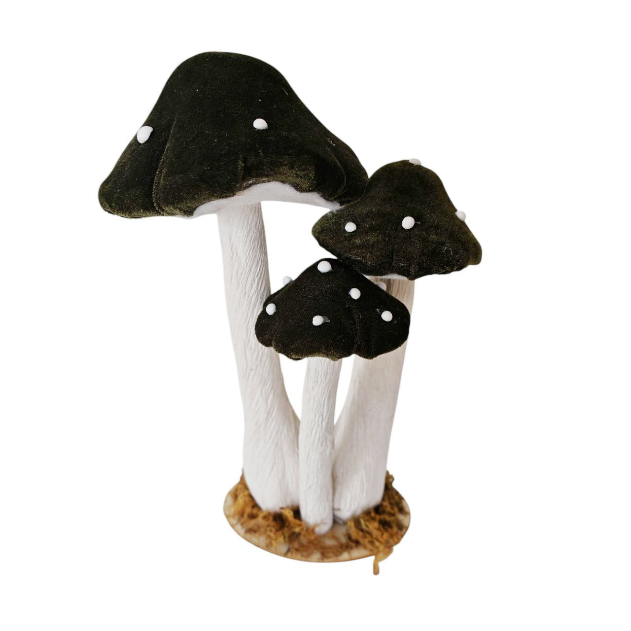 Funghi in velluto verde scuro