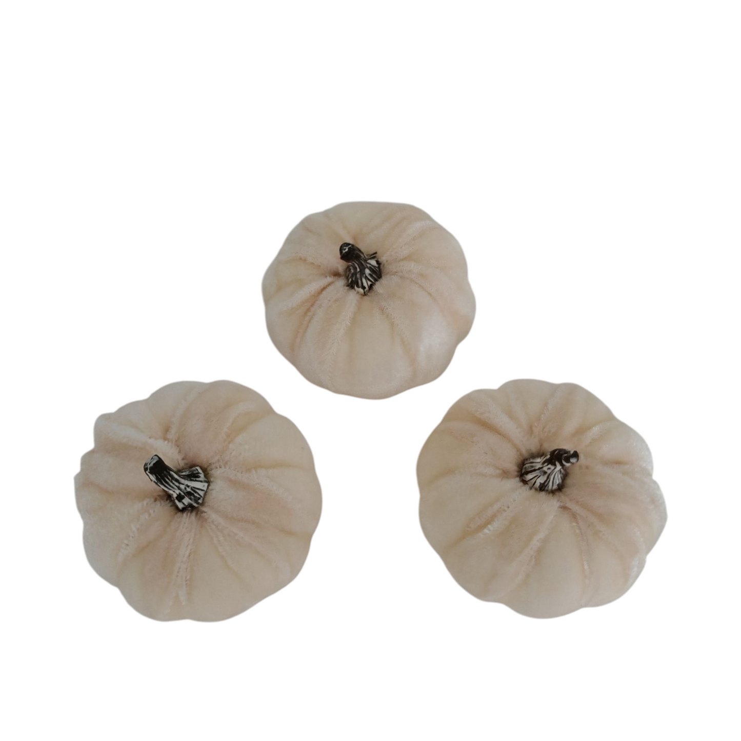 Zucche in velluto panna set 3 pezzi