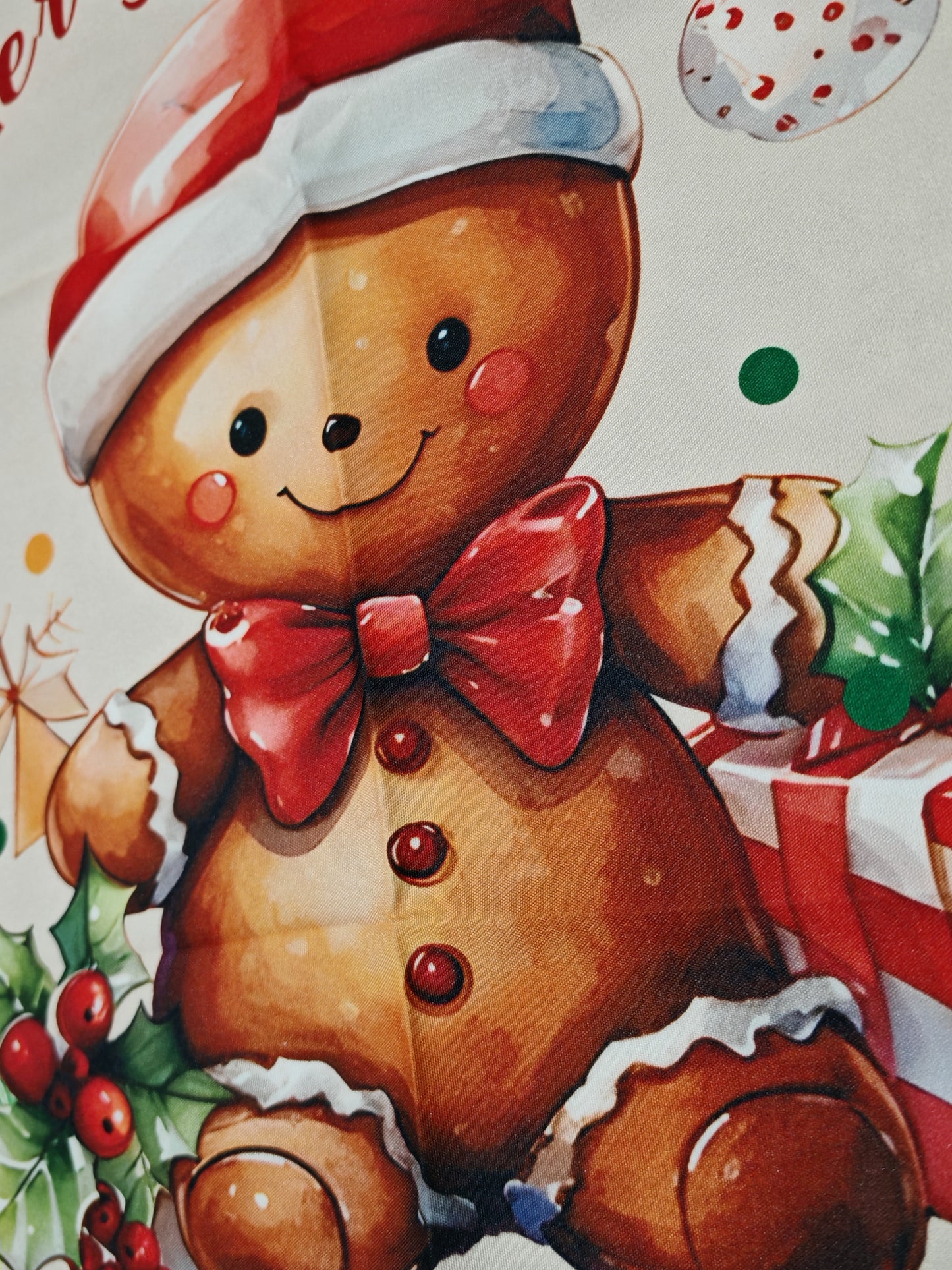 Fodera cuscino biscottino