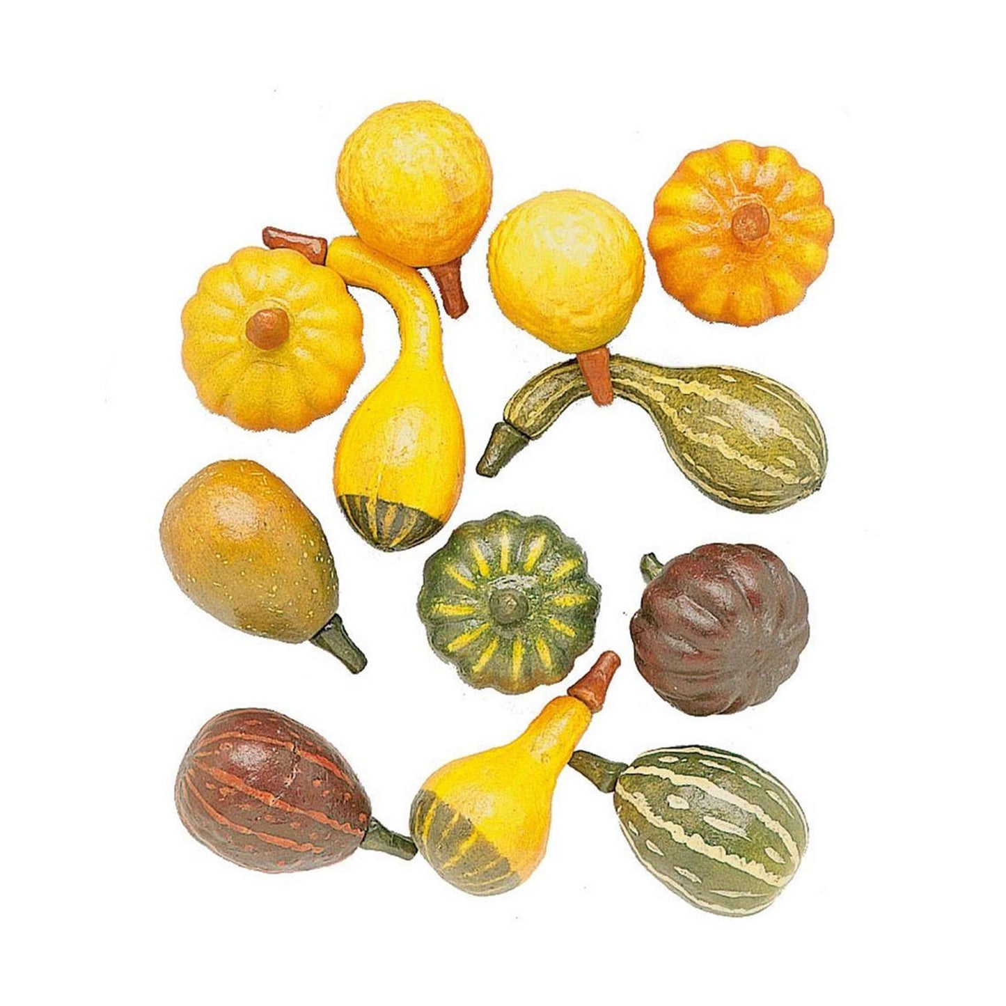 Zucche miste set 12 pezzi