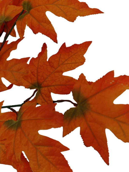 Tralcio autunno arancio