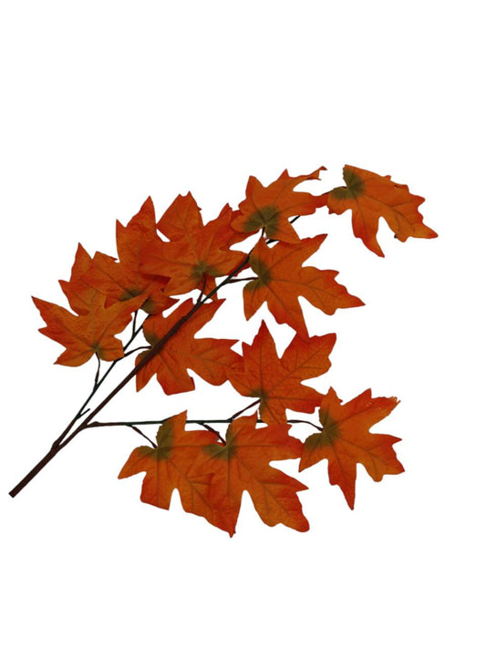Tralcio autunno arancio