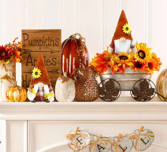 Gnomo treccine marrone