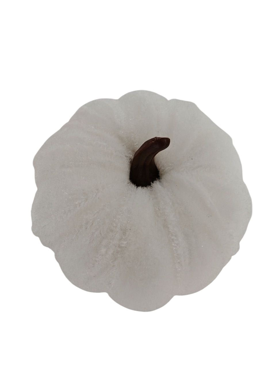 Zucche in velluto set 2 pezzi bianco