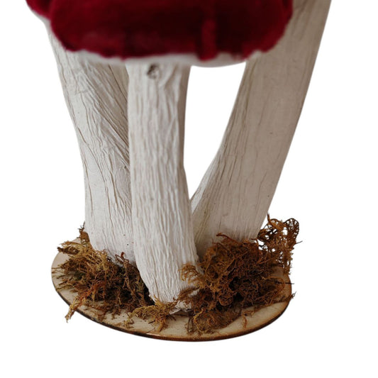 Funghi in velluto bordeaux