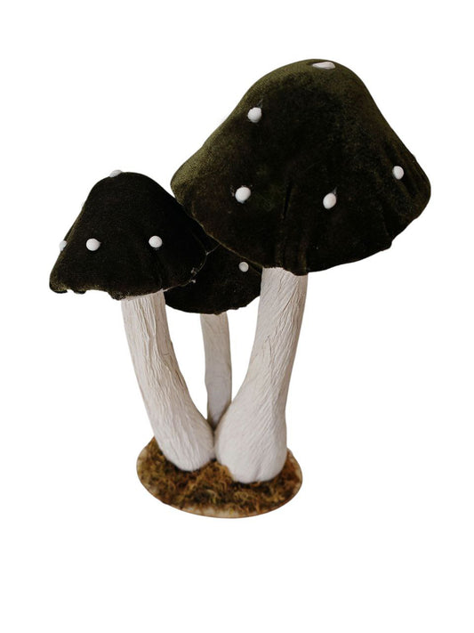 Funghi in velluto verde scuro