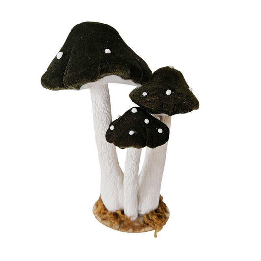 Funghi in velluto verde scuro