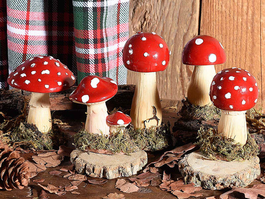 Funghetti decorativi set 5 pezzi