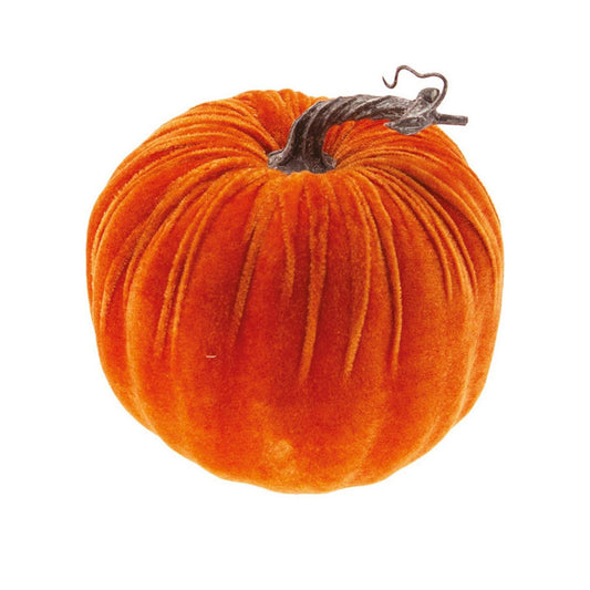 Zucca in velluto