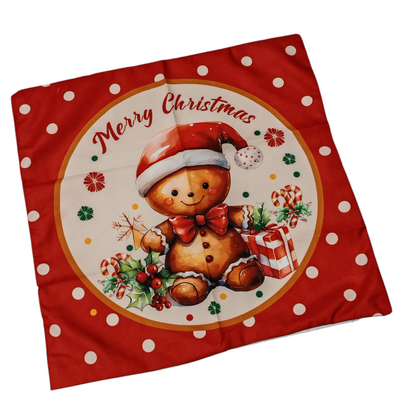 Fodera cuscino biscottino