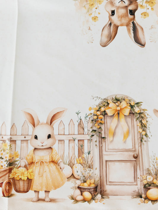 Runner country bunny