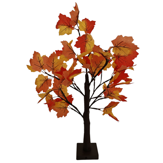 Albero Autunno luminoso